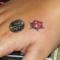 Pequeña mariquita tatuaje en la mano