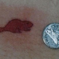 Small red beaver tattoo