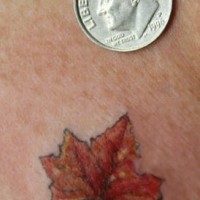 Small maple leaf tattoo