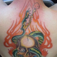 Flaming snake on skull tattoo