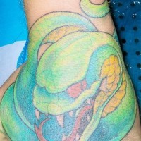 Tatuaggio spaventoso sulla mano il serpente lucido