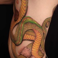 Tatuaggio enorme sul fianco e sulla pancia il serpente verde giallo