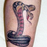 Tatuaggio colorato sulla gamba la cobra nera rossa