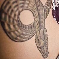 Tatuaggio nero sulla schiena il serpente