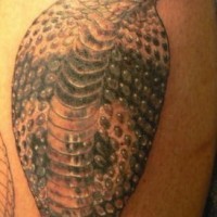 Realistic cobra black ink tattoo