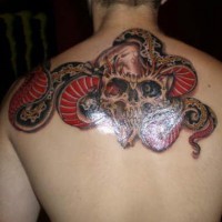 Tatuaggio grande sulla schiena il serpente attorno tel teschio