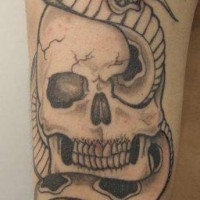 Tatuaggio non colorato classico sul braccio il teschio col serpente