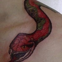 Realistic red and green snake tattoo
