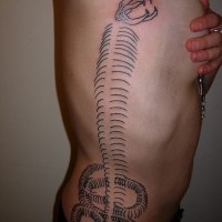Tatuaggio curioso sul fianco il scheletro del serpente