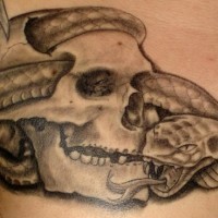 Schlange in gebrochenem Schädel Tattoo