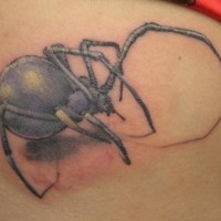 Araña viuda realístico tatuaje en tinta azul