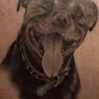 glad staffordshire cane tatuaggio