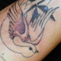 Undone star and sparrow tattoo