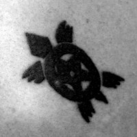 Estrella en la imagen de la tortuga tatuaje en tinta negra
