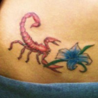 Tatuaggio colorato sulla pancia il scorpione rosso e il fiore azzurro