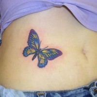Stomach tattoo, picturesque, dark blue and yellow butterfly