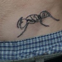 Bauch Tattoo mit krichendem nicht ausgefülltem Ameise