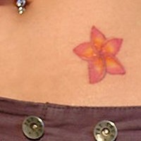 Stomach tattoo, little, accurate red and yellow flower