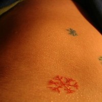 Le tatouage de l'estomac avec de petits flocons de neige multicolores