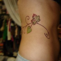 Stomach tattoo, little climbing plant, coloured leaves