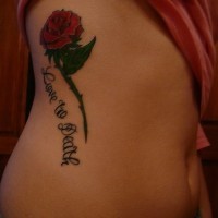 Tatuaje en vientre con rosa clásica en tinta roja y una inscripción 