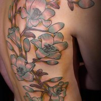 Tattoo on ribs, large branch blossoming
