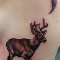 Tattoo on side of ribs, real deer under moonlight
