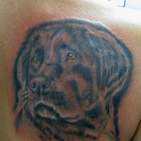 Sad and wise dog on upper back tattoo