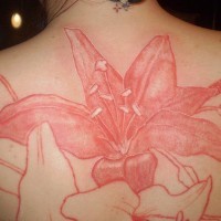 Beautiful red tattoo orchid  on upper back