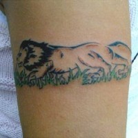 Tatuaggio leone corre tatuato