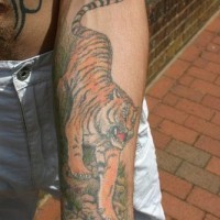 Tiger kriecht auf Berg Tattoo