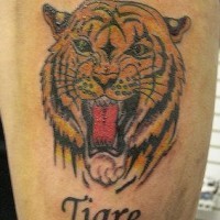 Cabeza del tigre inscripción tatuaje en color