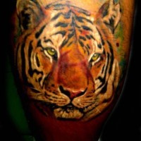 Muy realístico tatuaje cabeza del tigre en color