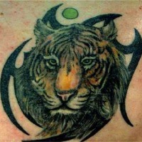 Cabeza del tigre al fondo del tatuaje tribal