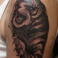 Muy detallado tatuaje del tigre en tinta negra