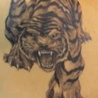 Black ink crawling tiger tattoo