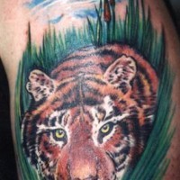 Tiger crawling in greens coloured tattoo