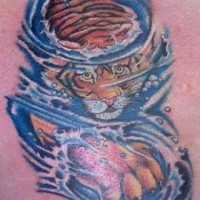 Tiger swimming in water qualitative  tattoo