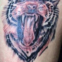 Realistic roaring tiger tattoo