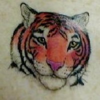 Realistic tiger head coloured tattoo