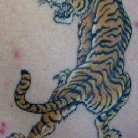 Classic crawling tiger tattoo