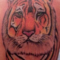 Colourful tiger head tattoo