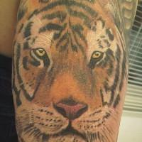 Realistic detailed tiger head tattoo