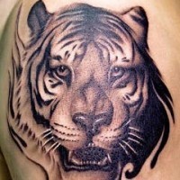 Black ink tiger head tattoo on shoulder