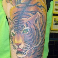 Tigre en color rugiendo tatuaje en el hombro