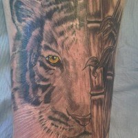 Tiger in bamboo forest  tattoo