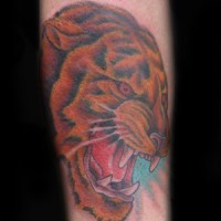 Angry coloured tiger tattoo