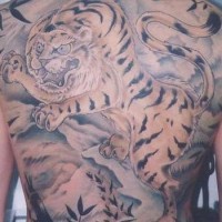 Full back asian tiger tattoo