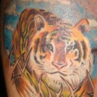 Tiger in nature coloured  tattoo