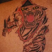 Tiger rip skin tattoo